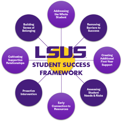 circular graph that represents the success center framework